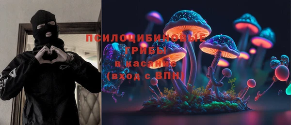 гидра Козловка