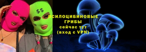 гидра Козловка