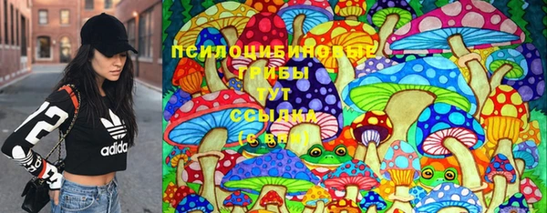 герыч Корсаков